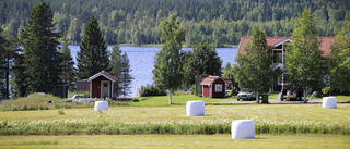 Centerpartiet är garanten för en levande landsbygd 