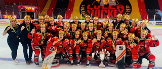 Unik hockeysponsring: "Vill att fler företag gör samma"