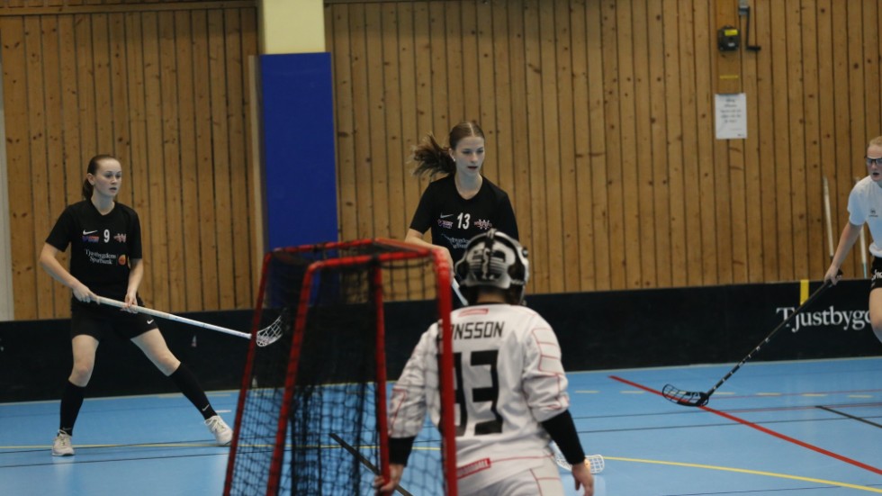WIBK möter under lördagen Craftstadens IBK.