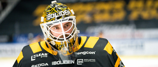 Söderblom till NHL – och Lindvall jagades av KHL-klubbar: "Gustaf vill vinna SM-guld med AIK"