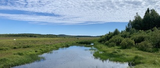 Västerbottens natur ska bli mer tillgänglig – nya satsningar på stugor och fjälleder: ”Storslagna miljöer”