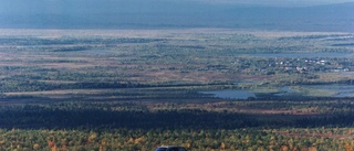 Roadtrip genom Tornedalen slutade med corona