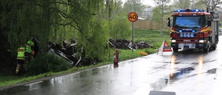 Bil voltade in i trädgård