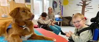 Så hjälper hunden Winston barnen på särskolan