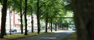 Långsammare passage på nya Promenaden