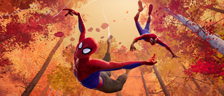 Animerade Spider-Man-uppföljaren dröjer