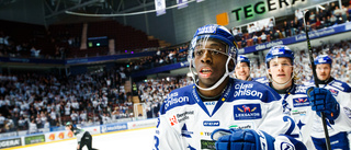 SHL-meriterad back till Vimmerby Hockey