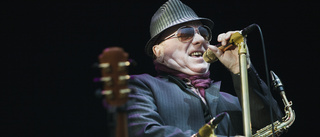 Van Morrison till Sverige i sommar