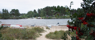 Det som sker i Luleå är inget annat än greenwashing