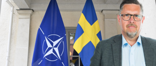 Nato-medlemskapet är både logiskt och nödvändigt