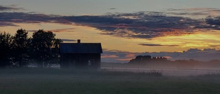 Läsarbild: Nära midnatt i Alvik