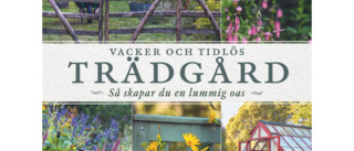 Vacker och tidlös trädgård : Så skapar du en lummig oas 