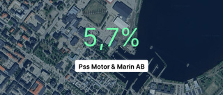 Pss Motor & Marin AB: Så såg siffrorna ut senaste året