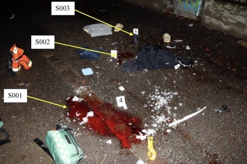 Den 20-åriga kvinnan har erkänt att hon lurade ut 17-årigen på Värmlandsgatan med förevändning att hon skulle köpa trådlösa hörlurar av honom, men har förnekat att det var hon som dödade honom.
