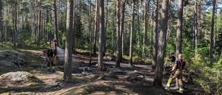 Polisen misstänker brott – efter brand i skog