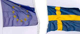 Vi svenskar ska bestämma över vårt eget land, inte EU