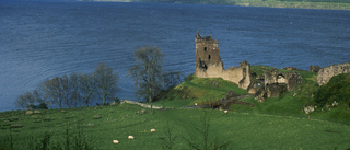 Jättejakt på Loch Ness-odjuret pågår – största söket på 50 år