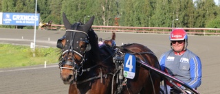 Oh Lyckan blev Roger Nilssons lycka på Skellefteåtravet