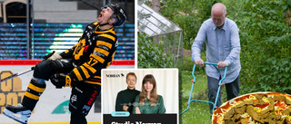 Halvtidskoll i SHL: ”Har funnits stora problem”