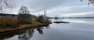 Planerna för strandlinjen: Cykelväg, marina och trädäck