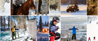 No travel required: Skellefteå's winter outdoor magic