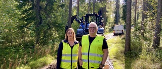 Lysande förändring på Mjölkuddsberget