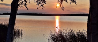 Läsarbilden: Morgon vid Norrstrand