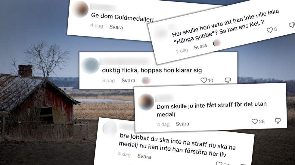 Hyllande kommentarer på sociala medier om den mordåtalade 16-åriga flickan, misstänkt för mordet i Hjälstaviken.