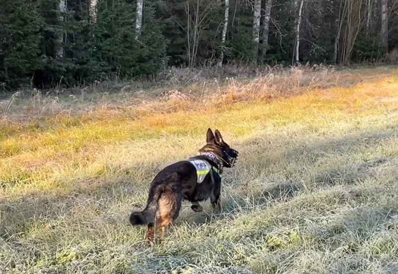 Polisens hundpatrull söker efter den försvunna kvinnan kring Stenbäcken med omnejd.