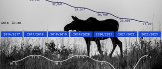 Därför kokar det av missnöje bland Västerbottens jägare