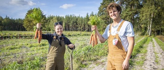 Reste tvärs över jorden för att jobba på bondgård i Boge