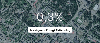 Arvidsjaurs Energi Aktiebolag på rätt sida strecket