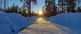 Läsarbilden: vårsolen på spåren 