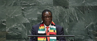 Öka stödet till demokratiska krafter i Zimbabwe