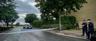 Man häktades för skott mot bil i Gränby