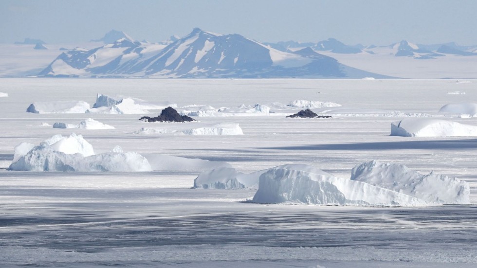 Myndigheterna varnar för tsunamirisk efter ett skalv vid Antarktis. Arkivbild.