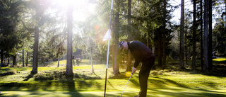 Nu ska det bli fler birdies på östgötska golfbanor – storsatsning på biologisk mångfald 