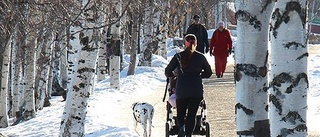 Värdefulla områden runt Nördfjärden