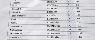 Godkänn gymnasiets engelska för hela Norden