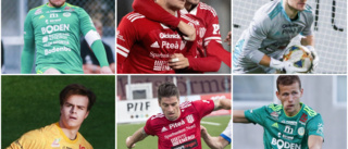 Norrbottnisk dominans i nomineringen till årets spelare