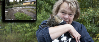 Dramat: Katten Ulla räddades från slambrunnen