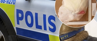 Polisens chansning gick hem: "Ren och skär glädje"