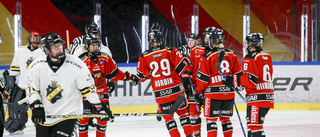 Luleå Hockey/MSSK firar nyår som serieledare