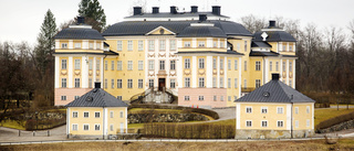 Ovanligt jobb att söka på barockslott 