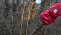 Pojke dog efter olycka på förskola i Umeå – utredningen läggs ner
