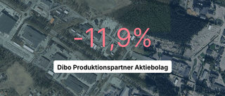 Dibo Produktionspartner Aktiebolag redovisar minusår