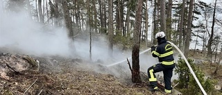 Gräsbrand mitt i vintern: "Det var väldigt oväntat"