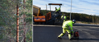 Det luktar tallskog på Skellefteås nya landningsbana 