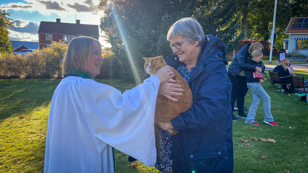 Prästen Eva Ramstedt välsignar katten Leon som sitter i matte Gun Nilssons famn.