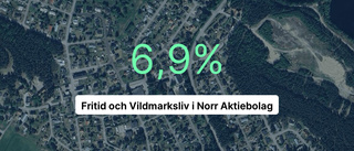 Fritid och Vildmarksliv i Norr AB 2023: Så gick det för företaget